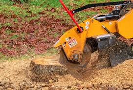 Best Tree Health Inspection  in Hacienda Heights, CA